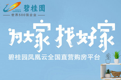 碧桂园集团 - 网站建设案例